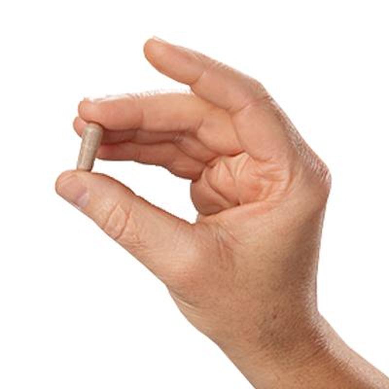 Brain Booster plus for Memory, Focus, Concentration, Neuro Energy, Clarity - with Lion'S Mane Mushrooms